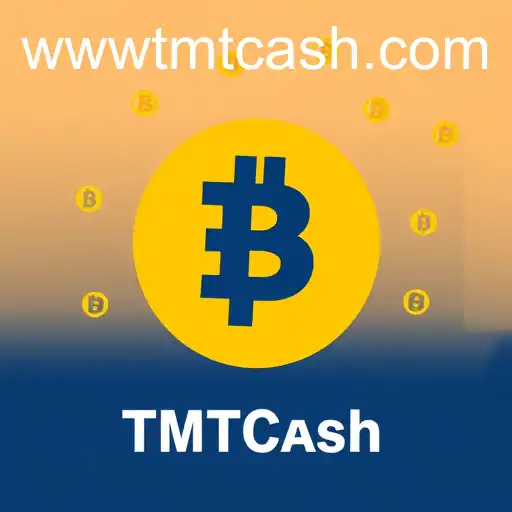 Comprehensive Guide to User Agreements in TMTCash APKs