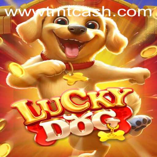 Exploring the World of LuckyDog: A Game-Changer in Mobile Gaming